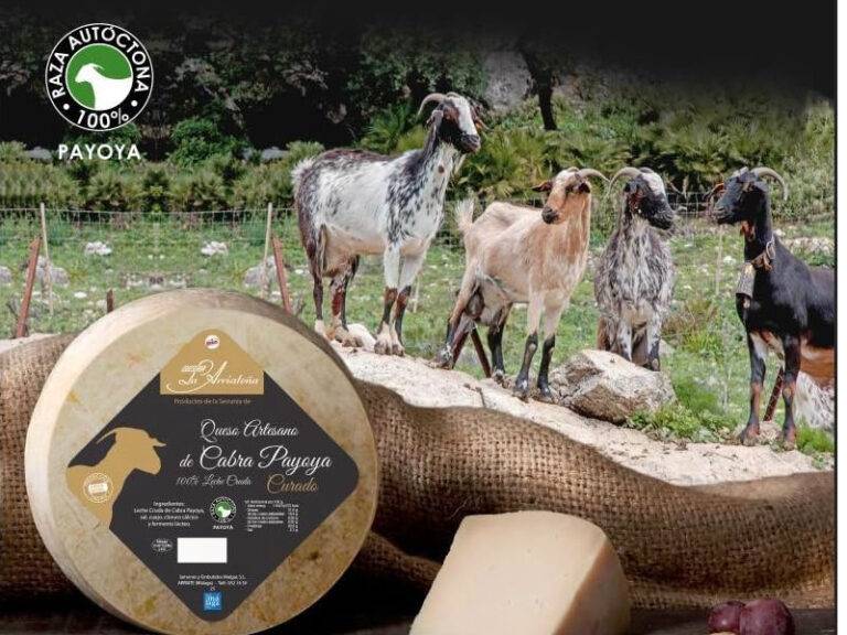 Queso de cabra Payoya «La arriateña» 1/2 pieza de 1 kg/aprox
