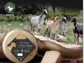 Queso de cabra Payoya «La arriateña» 1/2 pieza de 1 kg/aprox