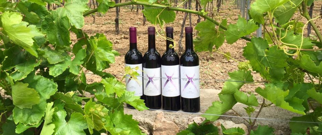 Vino tinto Malvajio Málaga