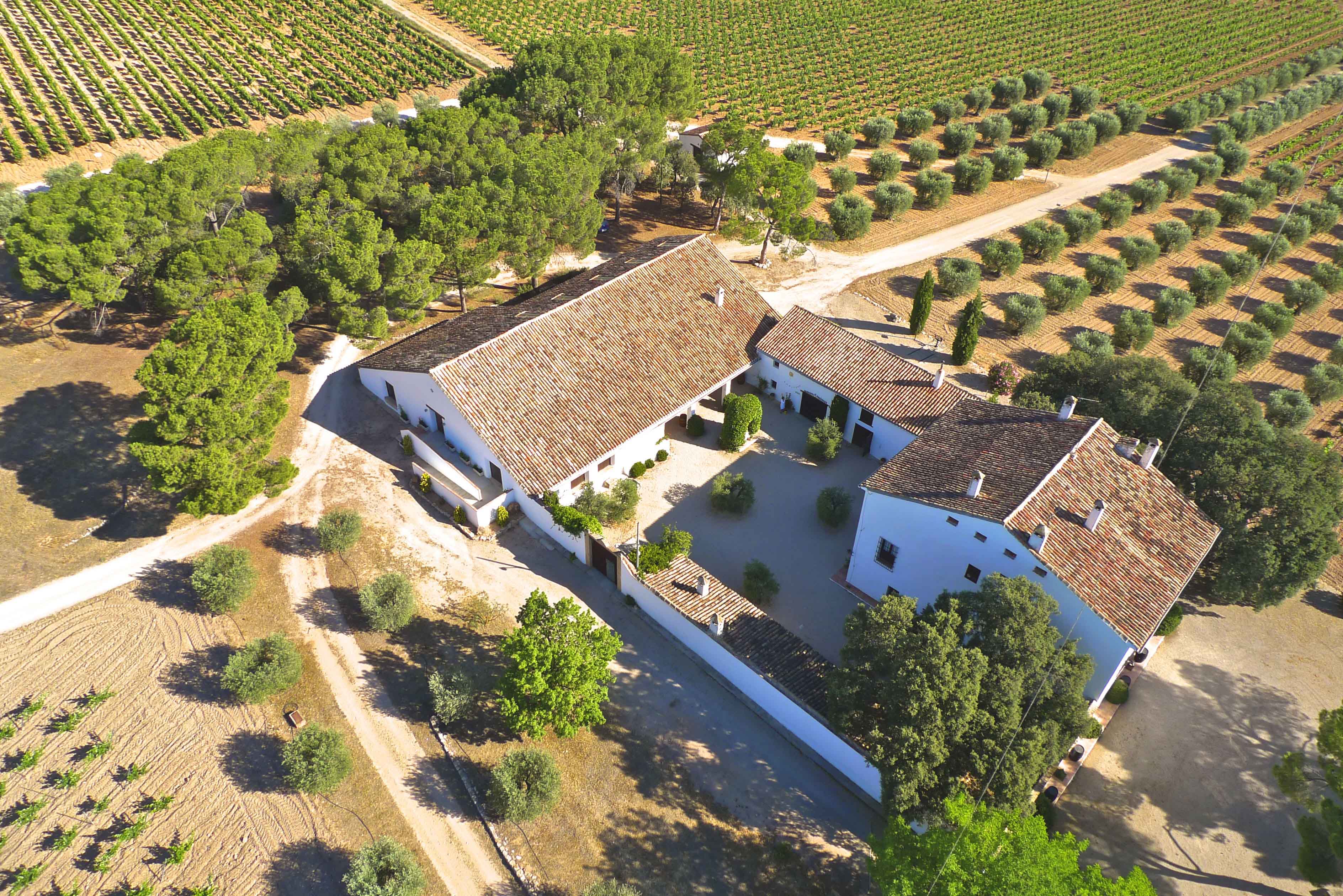 Vino Tinto Finca del Mar