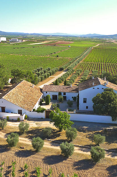 Vino Tinto Finca del Mar