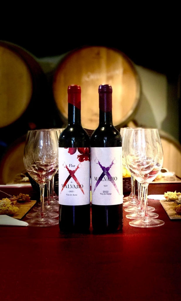 Vino tinto Malvajio Málaga