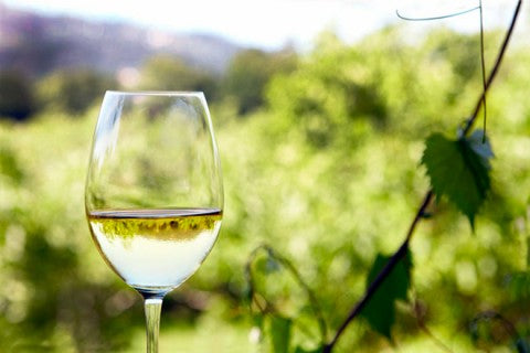Vino D.O. Rueda// Canto Real. Verdejo 100% - 2025. Caja 6 Botellas.
